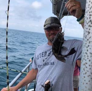 Meet your Posher, Ronald